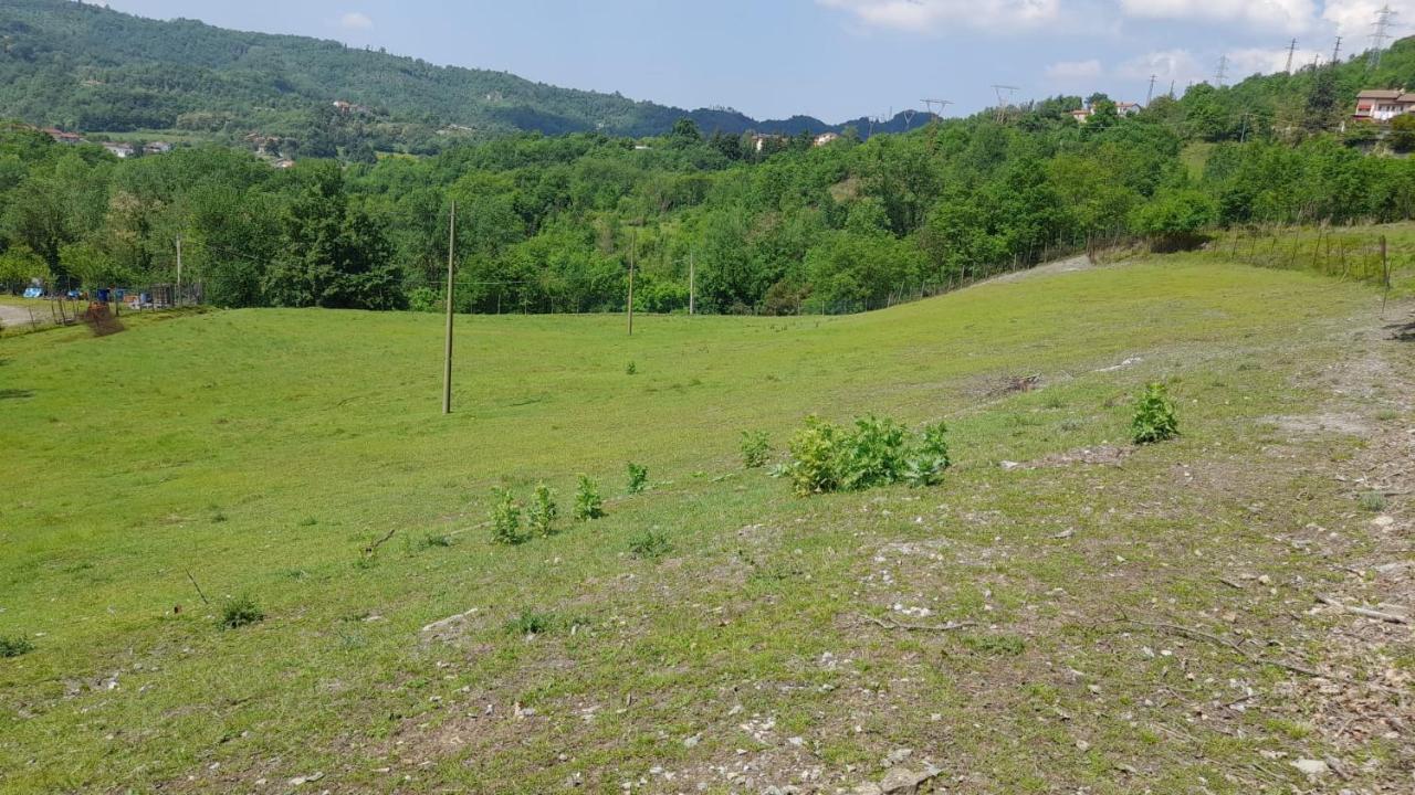B&B La Casa Del Daino Millesimo Εξωτερικό φωτογραφία