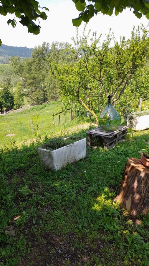 B&B La Casa Del Daino Millesimo Εξωτερικό φωτογραφία
